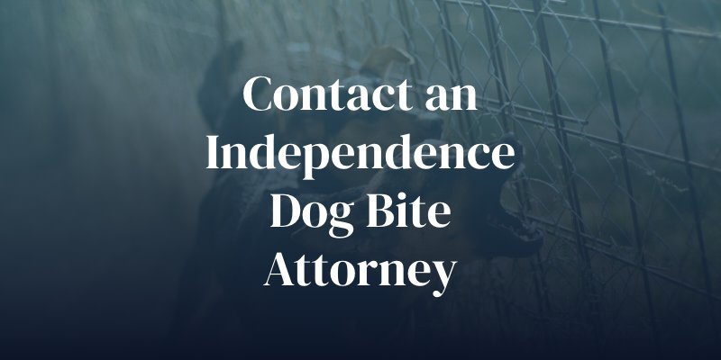 contact an independence dog bite attorney