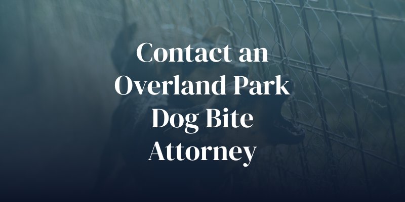 contact an overland dog bite attorney